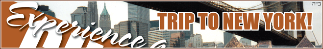 banner-tripNY.gif