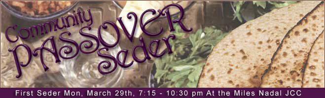pesach2010banner.jpg